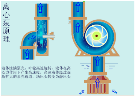 图片要害词